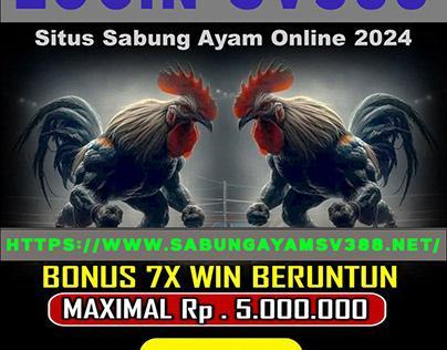 Agen Sabung Ayam 6X Win: Tempat Terbaik untuk Bertaruh!